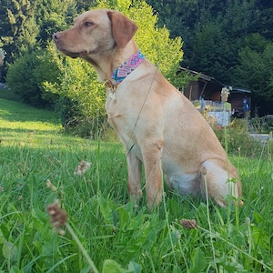 Theresa ha aggiunto una foto del proprio acquisto