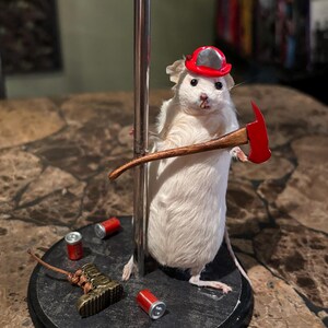 ポールダンスをするネズミの剥製：風変わりなネズミの飾り - Etsy 日本