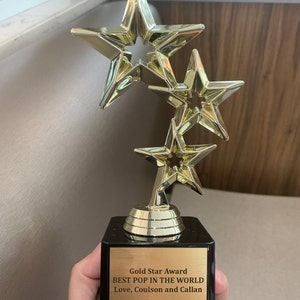 Rising Star Award 3 Star Custom Trophy for Everyone - Etsy