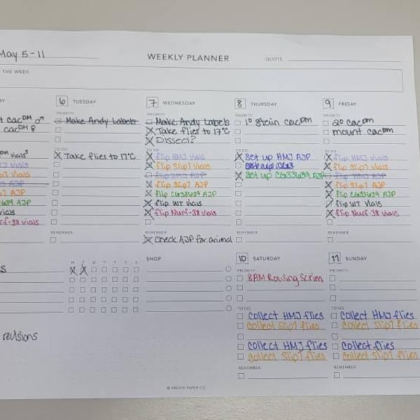 Weekly Planner Digital Download - Daily to Do List, Weekly Planner ...