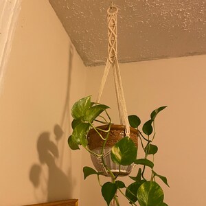 Violet added a photo of their purchase