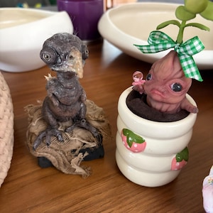 Amy added a photo of their purchase