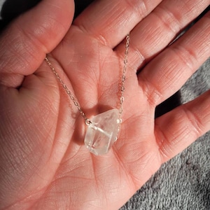 Amy added a photo of their purchase