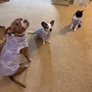 jasmin added a photo of their purchase