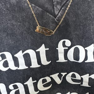Paula added a photo of their purchase