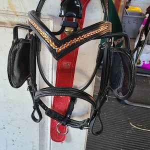 Jenny added a photo of their purchase