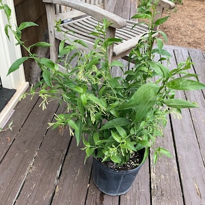 jeff added a photo of their purchase