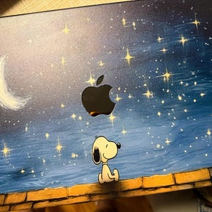 devlyn added a photo of their purchase