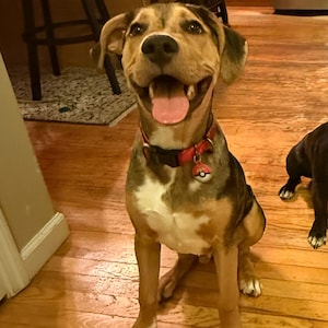 Elizabeth added a photo of their purchase