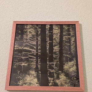 Danielle added a photo of their purchase