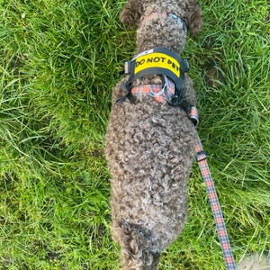 Harriet ha aggiunto una foto del proprio acquisto