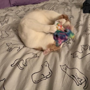Comprador de Etsy ha añadido una foto de su compra