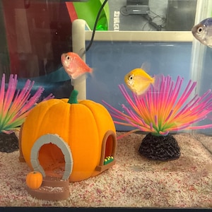 Kristin added a photo of their purchase