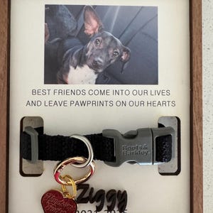 Amarisa added a photo of their purchase