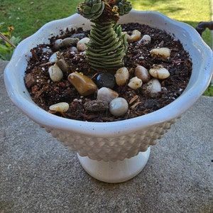 Linda ha añadido una foto de su compra