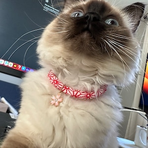 Katelin a ajouté une photo de son achat