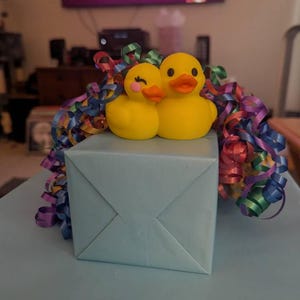 Heather added a photo of their purchase