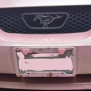 Rilakkuma Korilakkuma Kiiroitori Pink License Plate Frame Kawaii