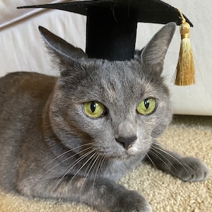 mamanulty added a photo of their purchase