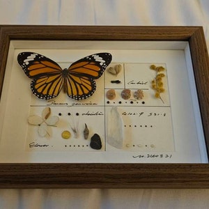 Miguel added a photo of their purchase