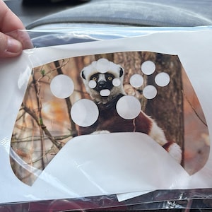 Lynn added a photo of their purchase