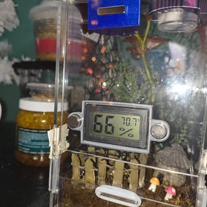 Etsy buyer added a photo of their purchase