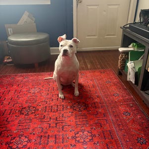 Kurt added a photo of their purchase