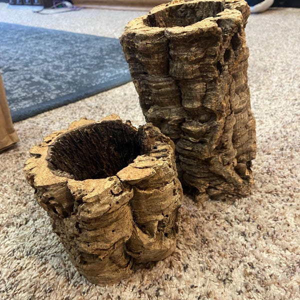 Virgin Cork Bark Rounds: Natural Terrarium & Reptile Habitat Decor - Etsy