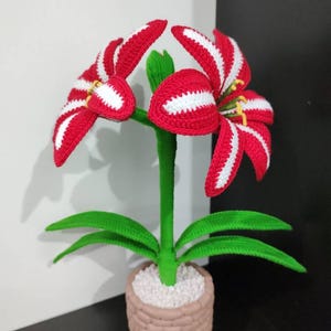 Karla ha añadido una foto de su compra