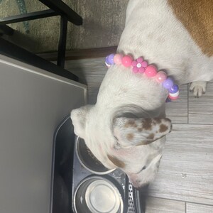 Erica added a photo of their purchase