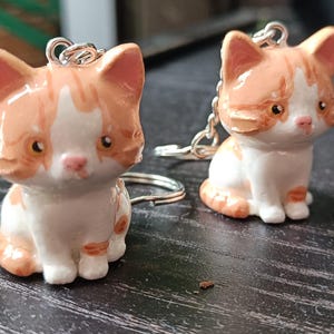 Link a ajouté une photo de son achat