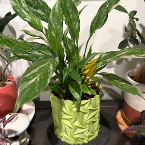Laura added a photo of their purchase