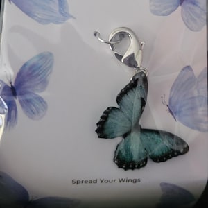 Squidx added a photo of their purchase