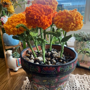 Nubia added a photo of their purchase