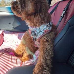 Solovieva, added a photo of their purchase