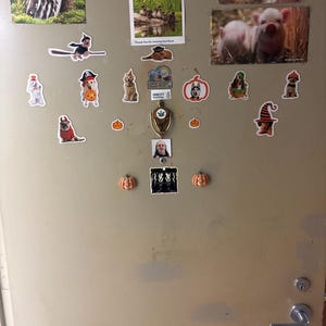 Frank added a photo of their purchase