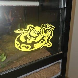 katlin added a photo of their purchase