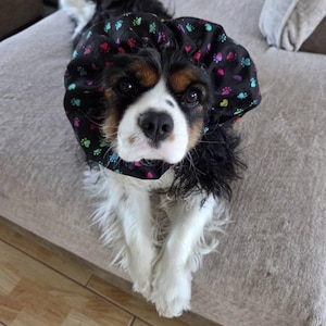 Cheryl added a photo of their purchase