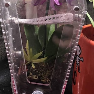 Chloe added a photo of their purchase