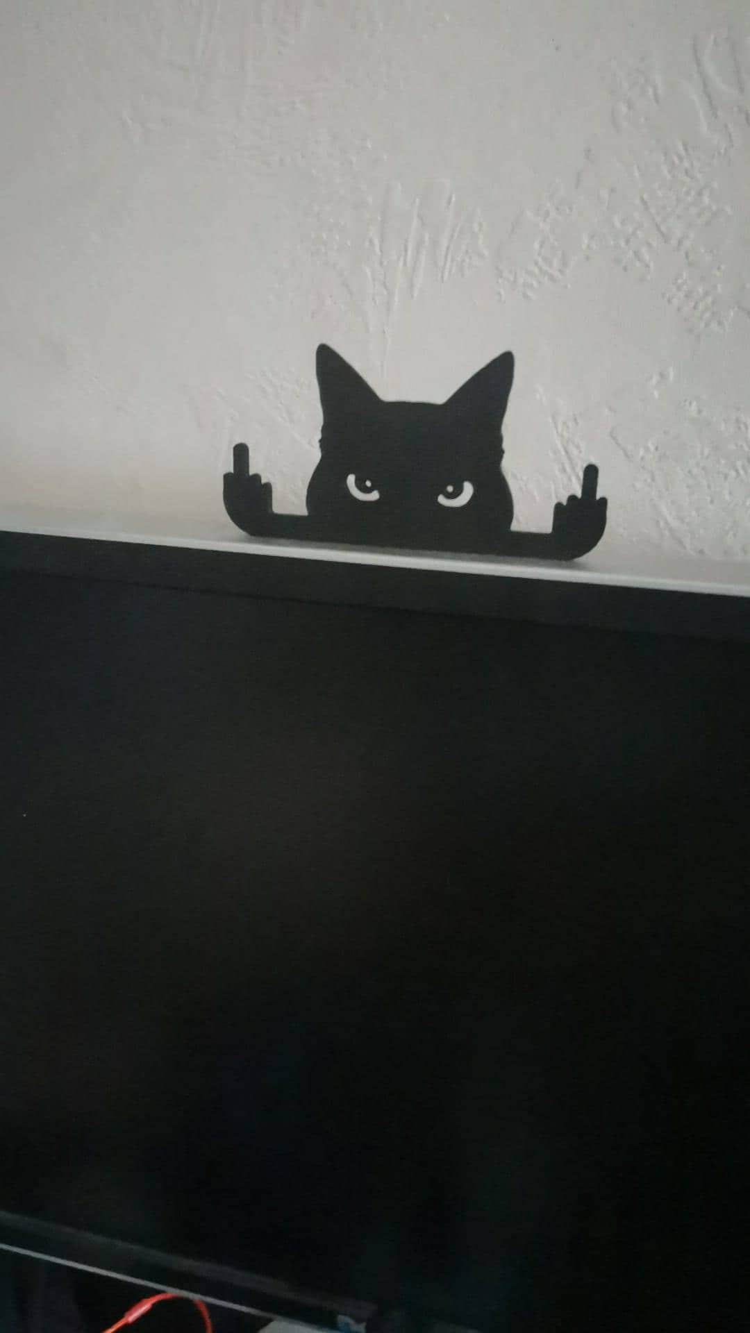 Novelty Cat Ornament Or Display On Door Or Wall
