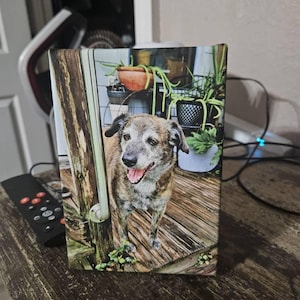 lynda added a photo of their purchase