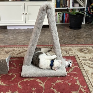 Katelyn added a photo of their purchase