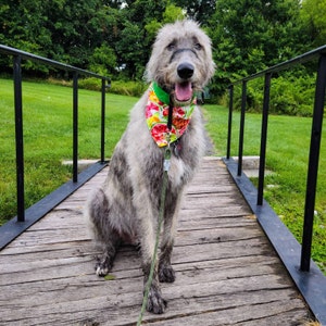 Danielle added a photo of their purchase