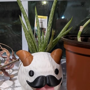 Rose added a photo of their purchase