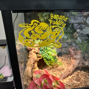 Terah added a photo of their purchase