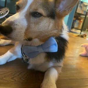 Maggie added a photo of their purchase
