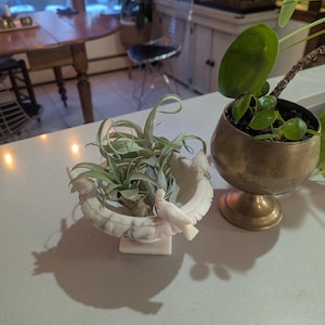 Sara added a photo of their purchase