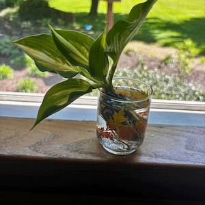 Larry added a photo of their purchase