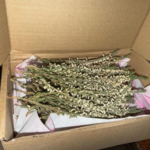 Ann ha añadido una foto de su compra