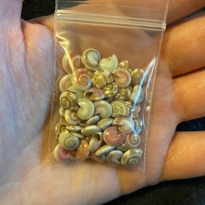 Melissa added a photo of their purchase